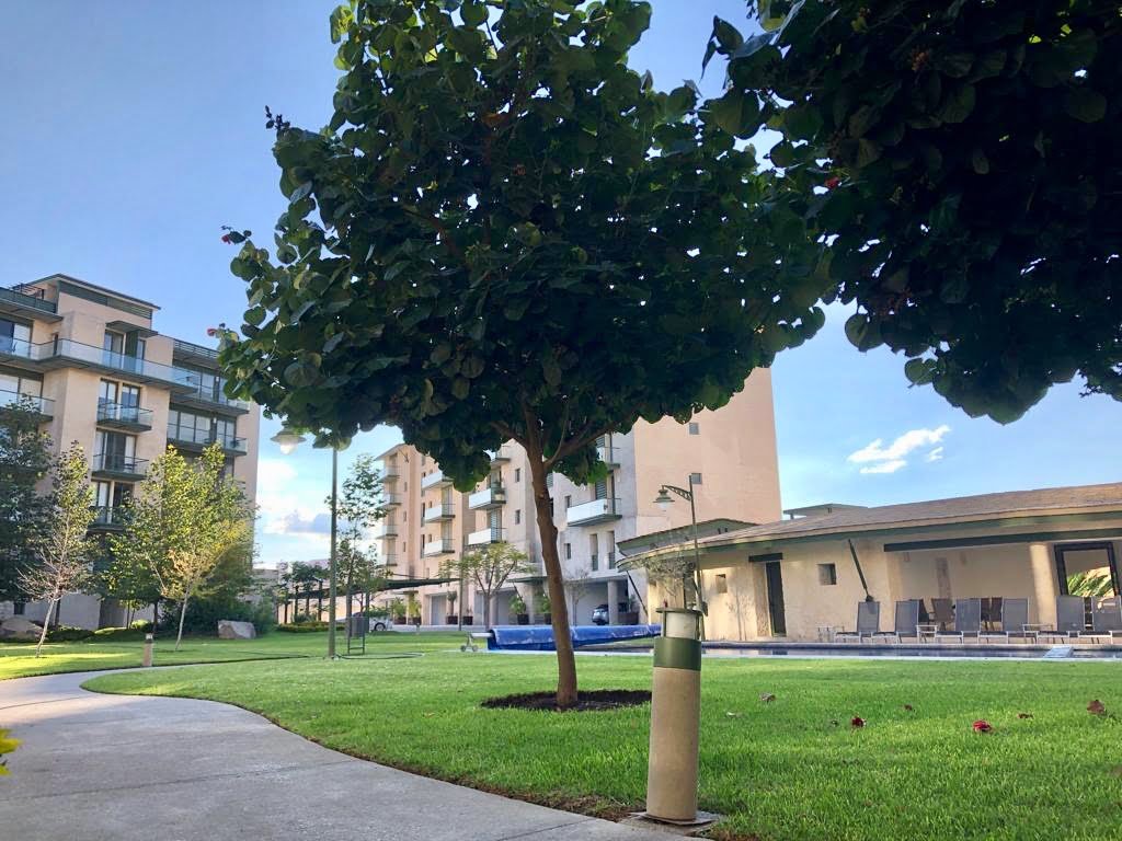 a9618230-cde5-478b-9a83-7124f8c9a05d